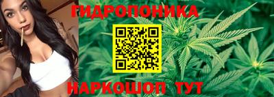 гашишное масло Бердск